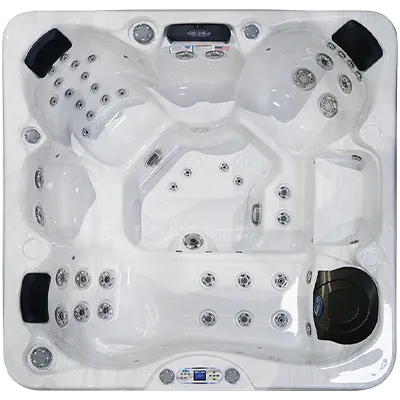 Avalon EC-849L hot tubs for sale in Roswell