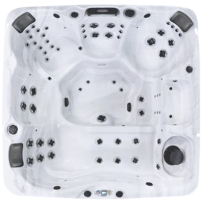 Avalon EC-867L hot tubs for sale in Roswell
